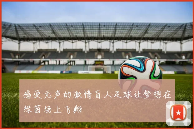 感受无声的激情盲人足球让梦想在绿茵场上飞翔