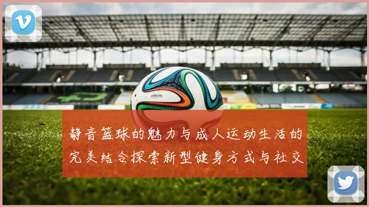静音篮球的魅力与成人运动生活的完美结合探索新型健身方式与社交体验
