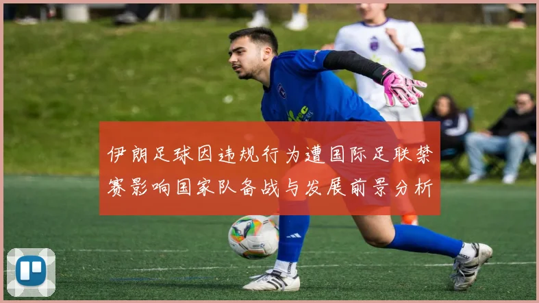 伊朗足球因违规行为遭国际足联禁赛影响国家队备战与发展前景分析