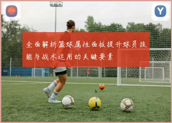 全面解析篮球属性面板提升球员技能与战术运用的关键要素