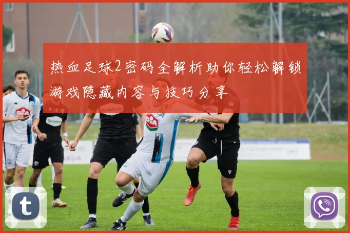 热血足球2密码全解析助你轻松解锁游戏隐藏内容与技巧分享