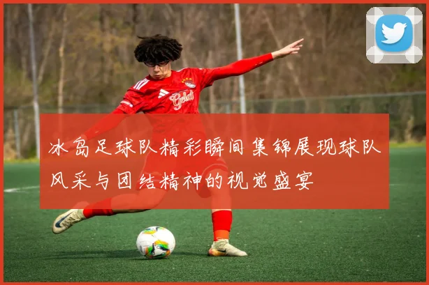 冰岛足球队精彩瞬间集锦展现球队风采与团结精神的视觉盛宴