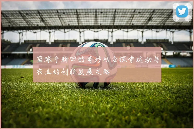篮球牛耕田的奇妙结合探索运动与农业的创新发展之路