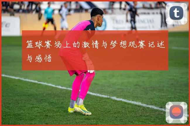 篮球赛场上的激情与梦想观赛记述与感悟